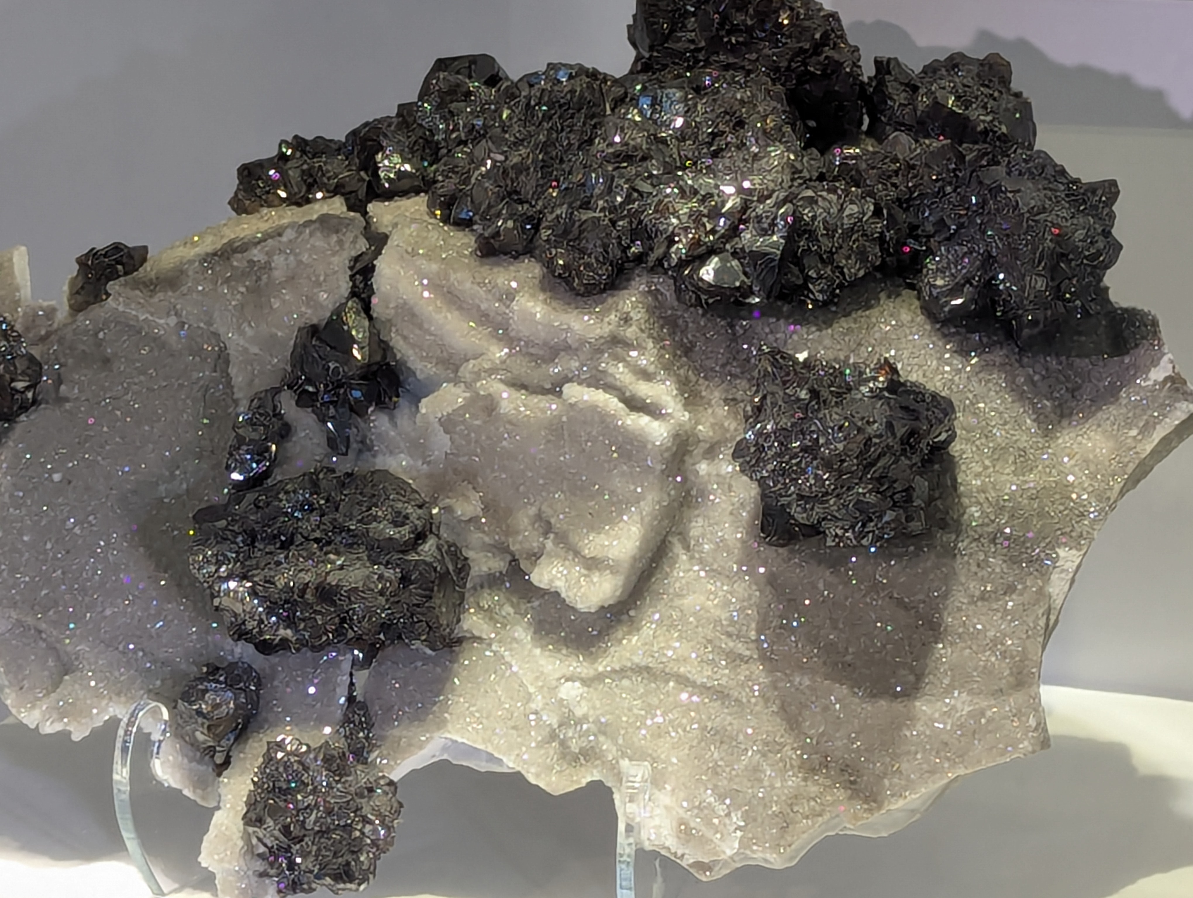 Colorado School of Mines, Geology Museum